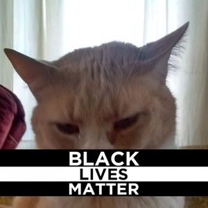 Meet your Posher, Dia